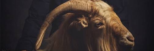 Baddest Of All Time banner