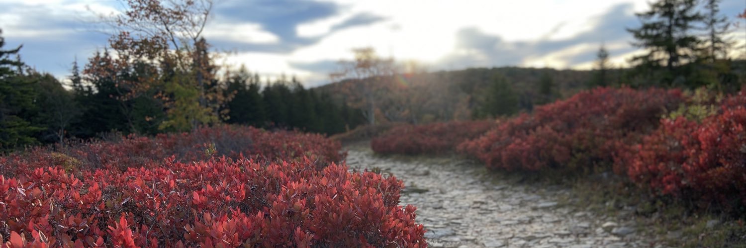 BrandonWeaverX's profile banner image