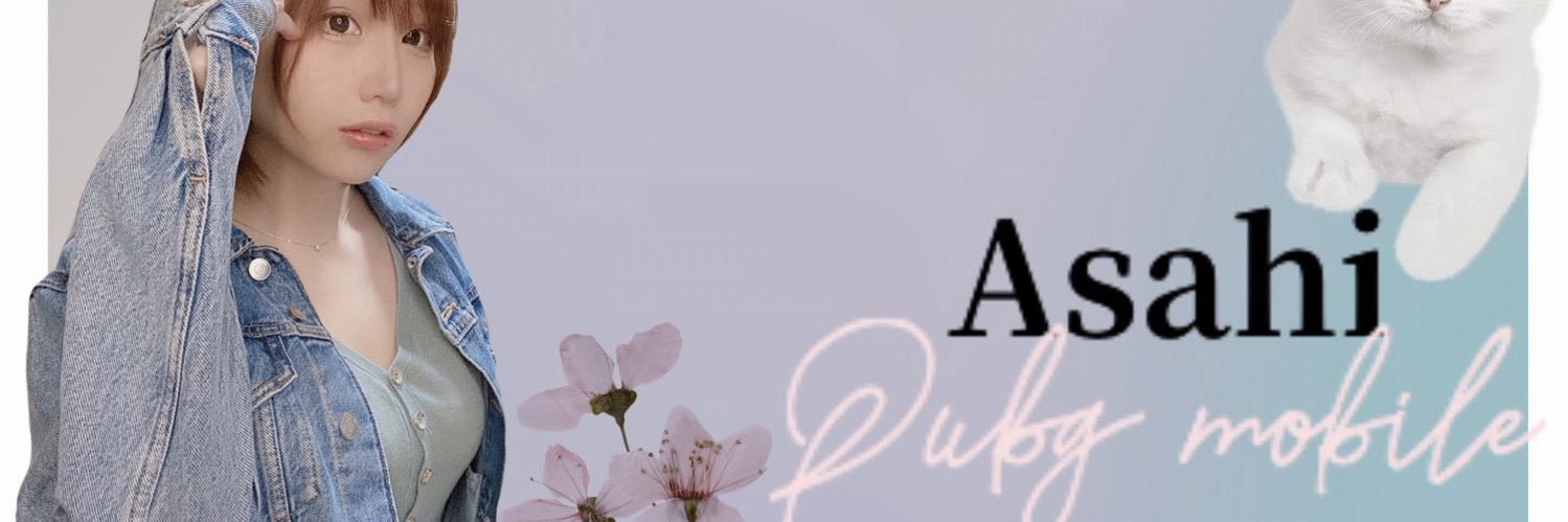 AshتBAIO👾🐯 banner