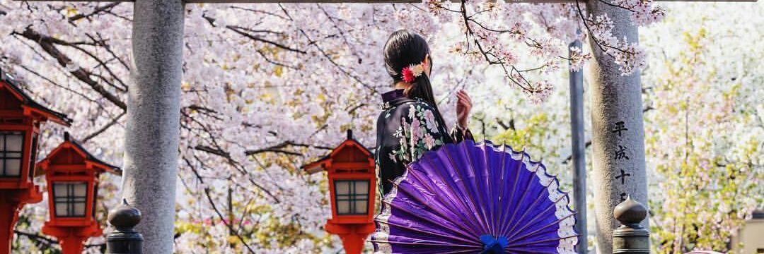 SakuraJapan17's profile banner image
