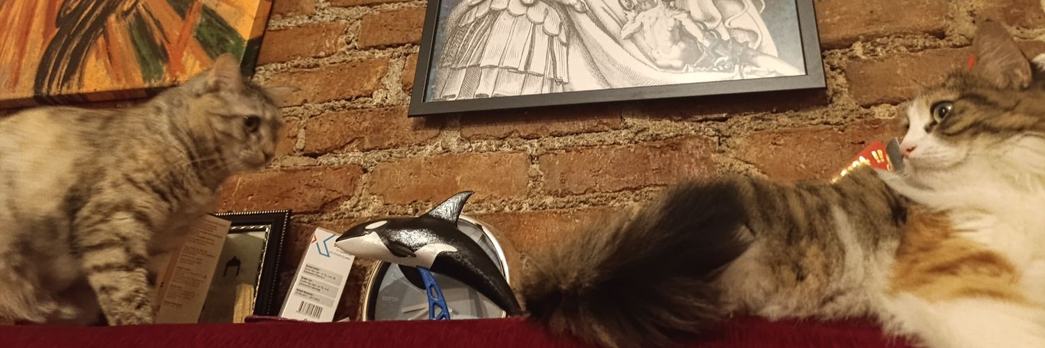 resatonur93's profile banner image