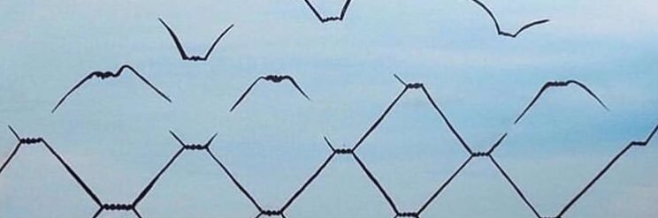 rar_07_'s profile banner image