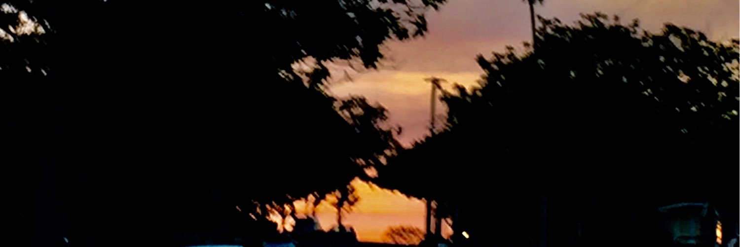 marla klein banner