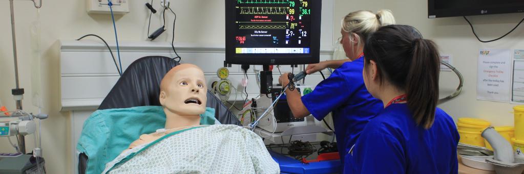 RBCH Simulation banner