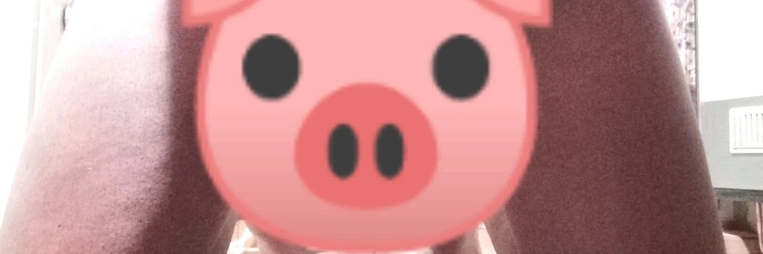 Paulslave84 banner
