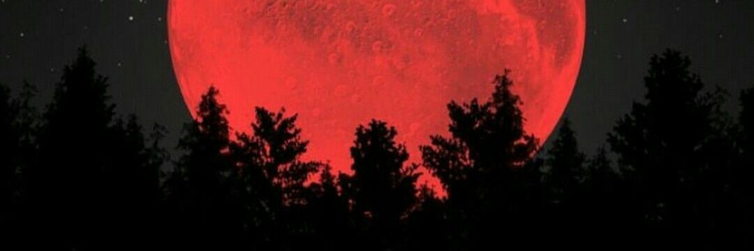 theonlyrifai's profile banner image