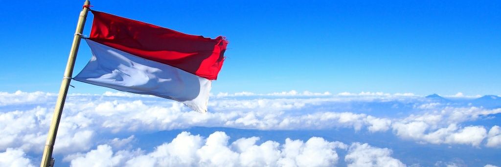 DKamilatul's profile banner image