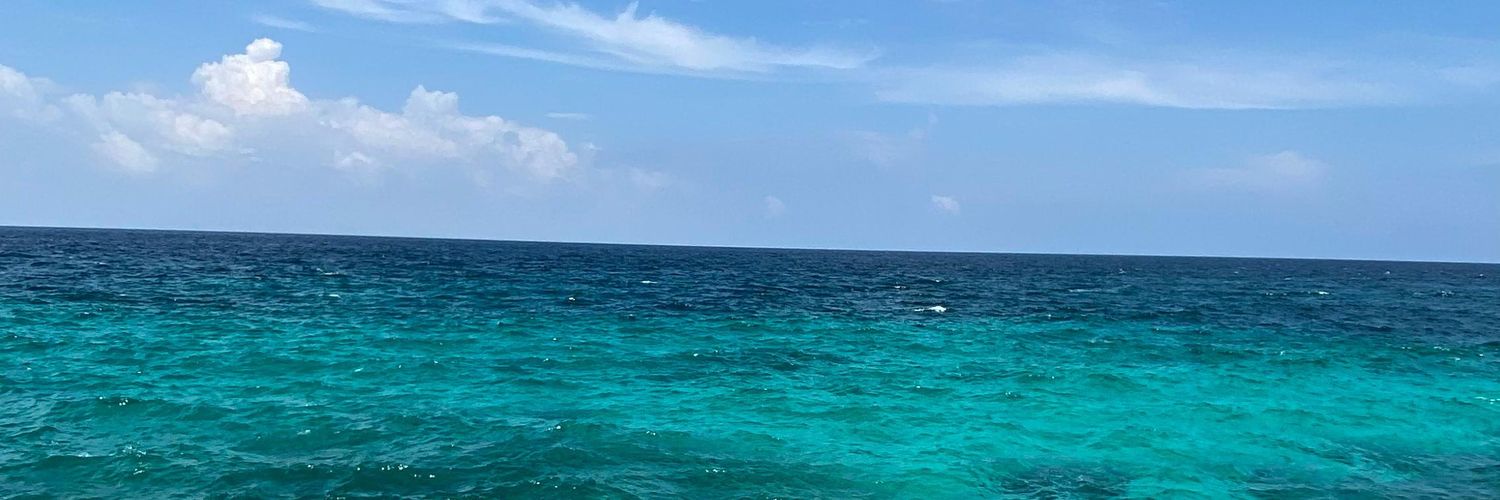 Alohaaa_ha banner