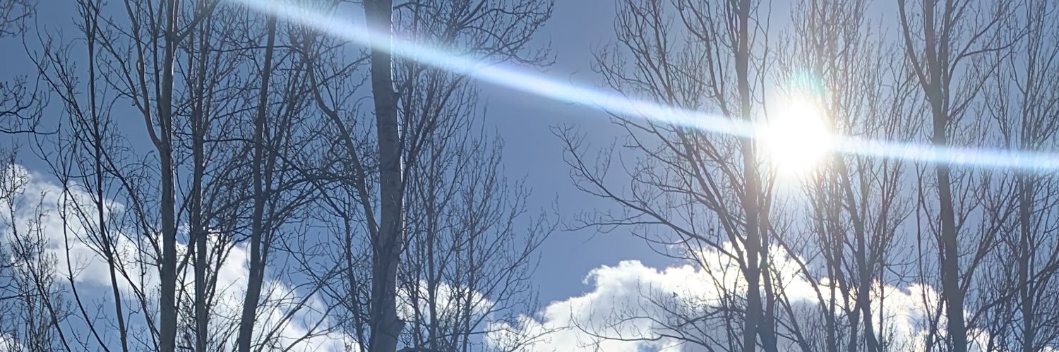Mir_eille's profile banner image