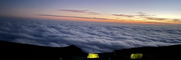 cedarsalvo Profile Banner