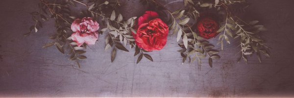 Alphiixy Profile Banner