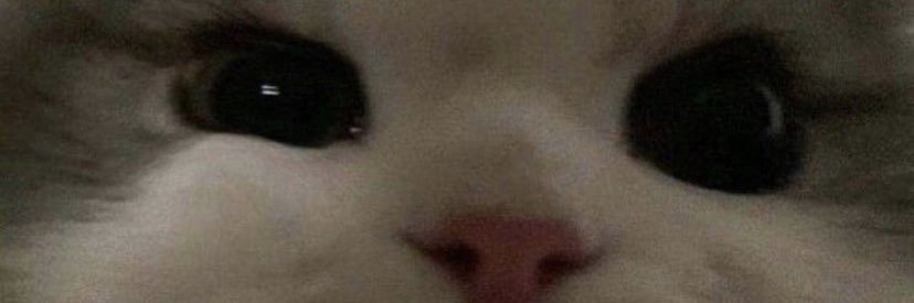 bkarashev8's profile banner image