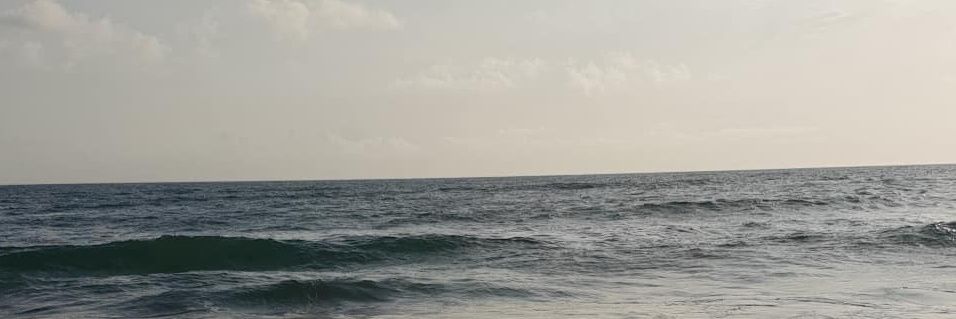Rhiannon Richardson banner
