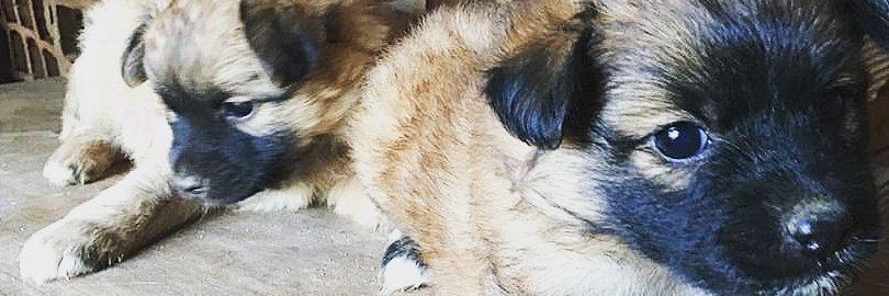 king_plug256's profile banner image