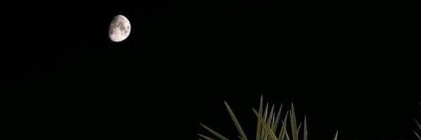 ashdd_17's profile banner image