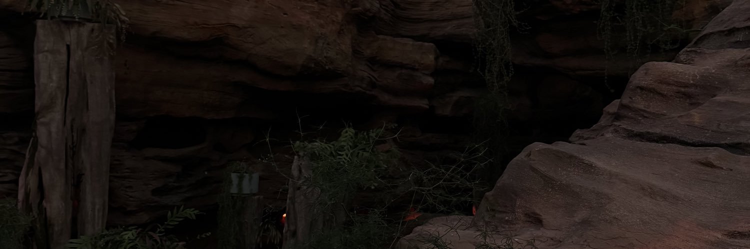 Riz banner