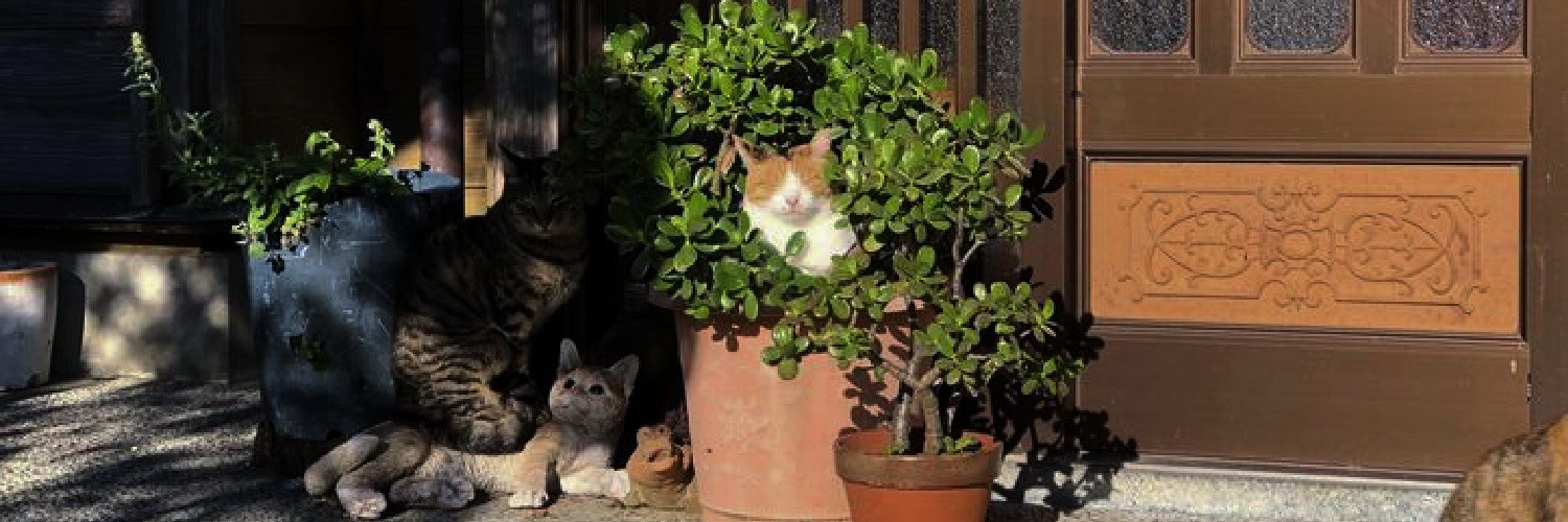 𝙠𝙮𝘬𝘺 ⚝ banner