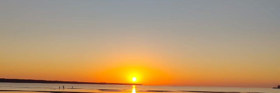 Manpreet 🇪🇪 banner