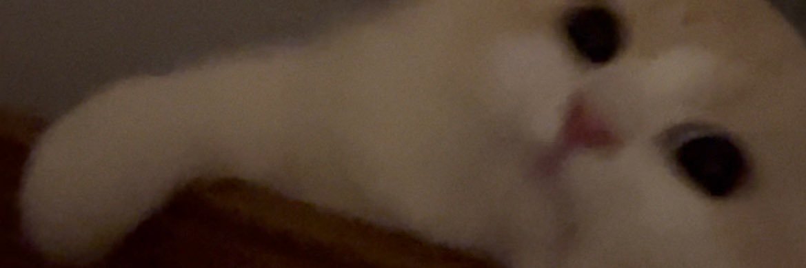 hrcn325's profile banner image