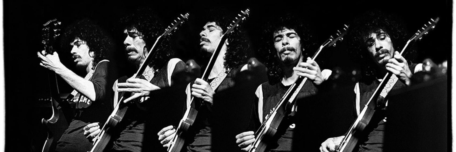 Davidovich Andrade banner