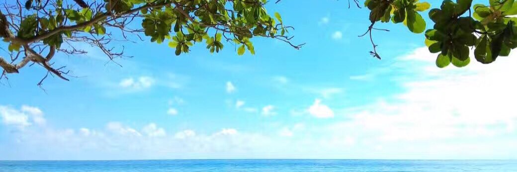 🇲🇾 banner