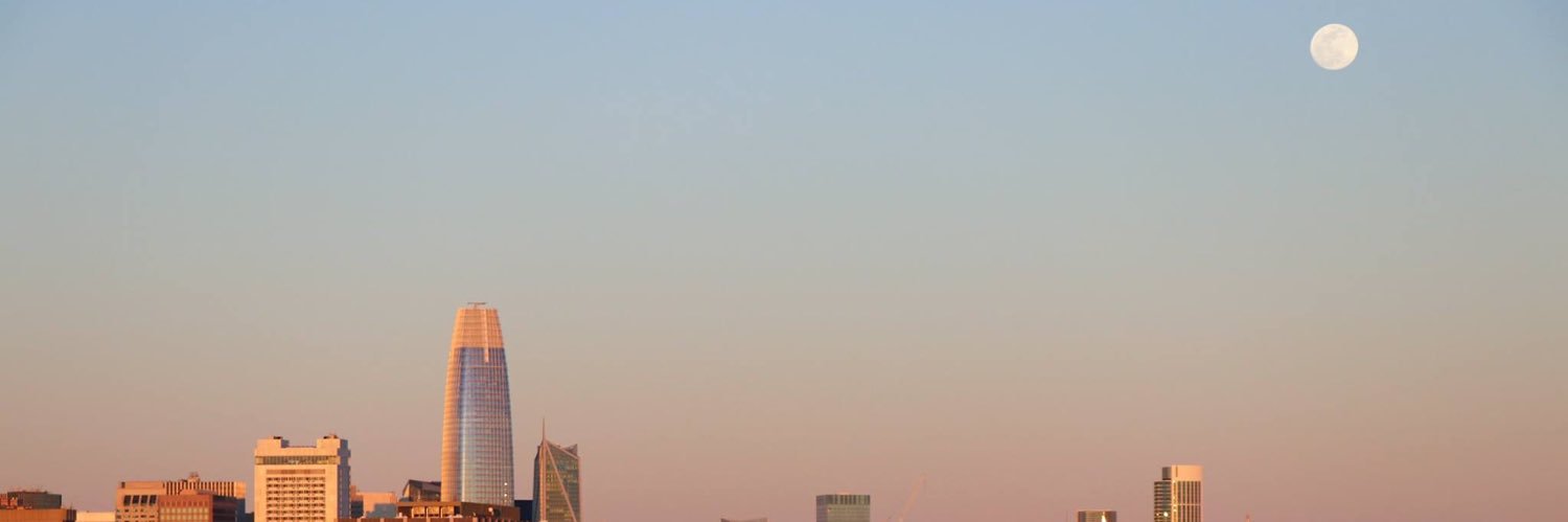 AnneChaChouille banner