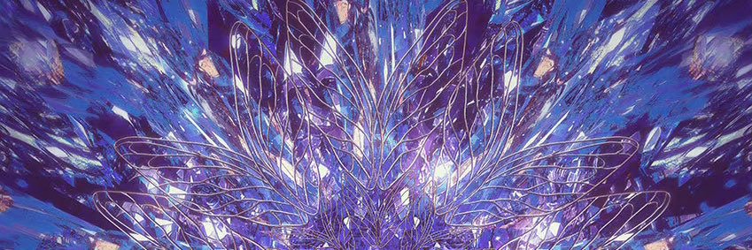 ovata2's profile banner image