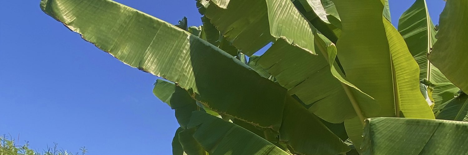 kmerveeee's profile banner image