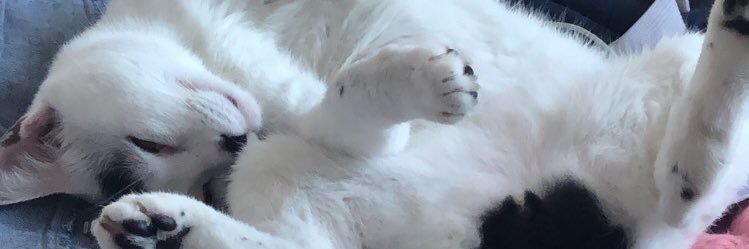 biatvrs's profile banner image