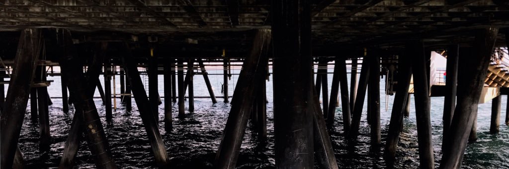 k_tort's profile banner image