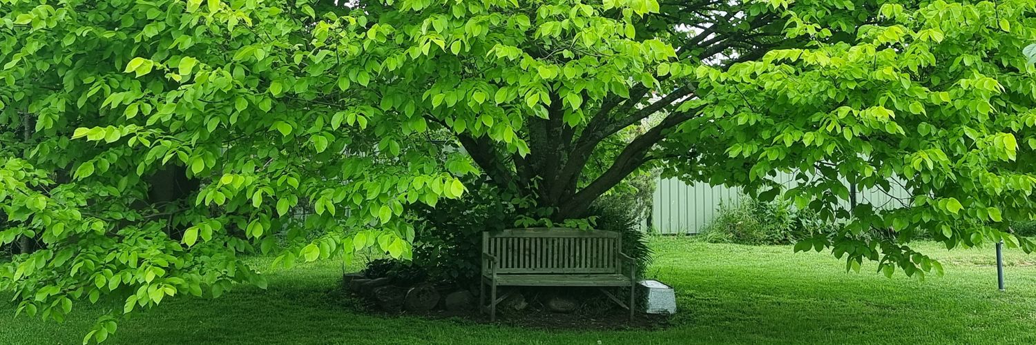 MandyCheevers's profile banner image