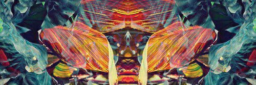 fhendolpz's profile banner image