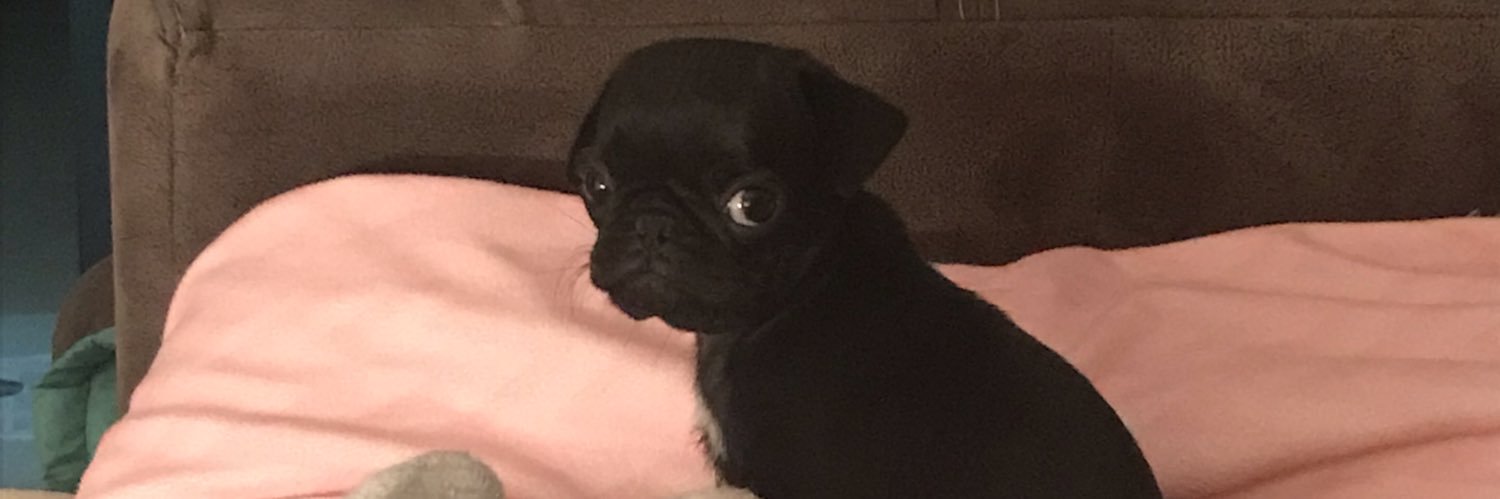 Sheilona13's profile banner image