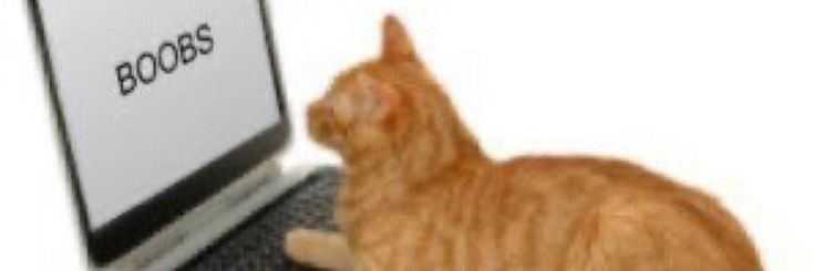 _riverwood's profile banner image