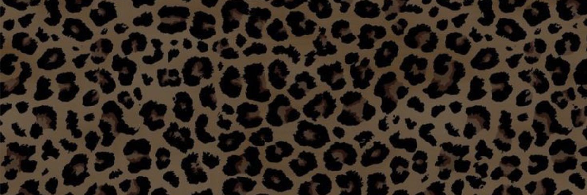 user6154331's profile banner image