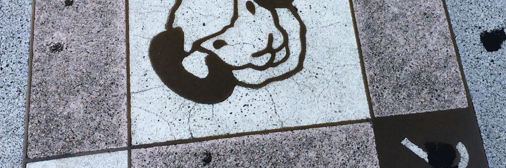 Annele Sovijärvi 🇫🇮 banner