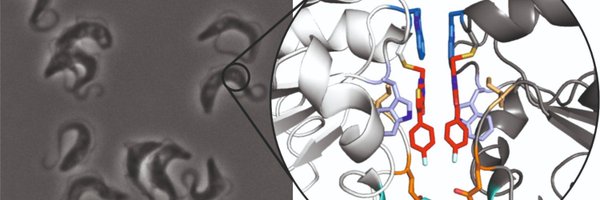 HellmichGroup Profile Banner