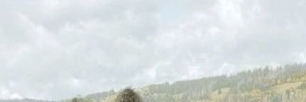 Asayel✨ banner