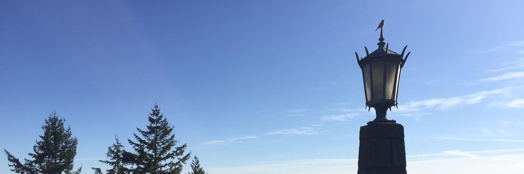Rocky_Butte's profile banner image