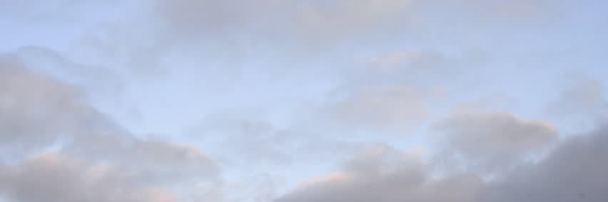 La vie est belle's banner