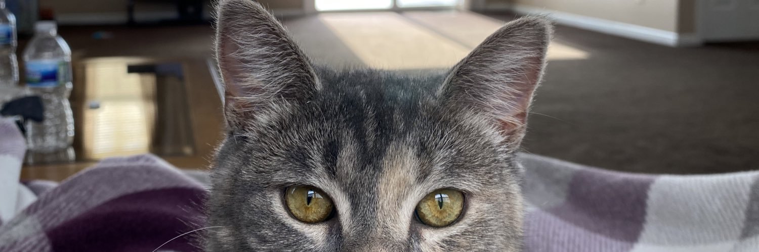 oliviawarnerr's profile banner image