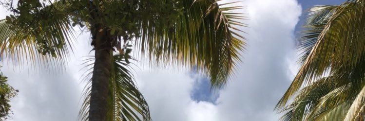 LaauriBlk's profile banner image