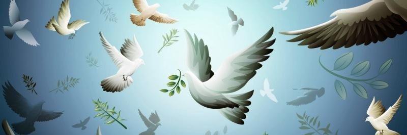 RSARPKAYA's profile banner image