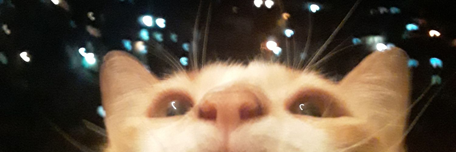Patrick6604's profile banner image