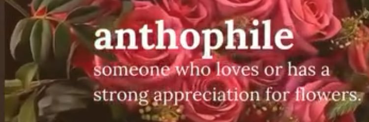 Mrs. Whipple banner