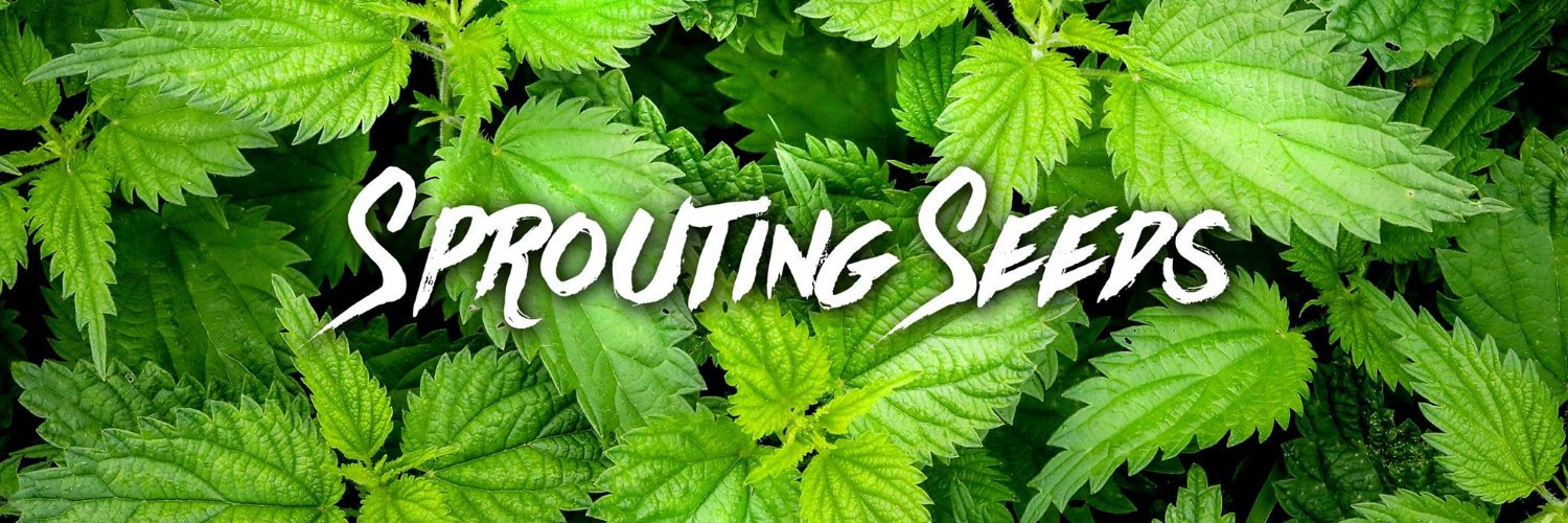 SeedsSprouting's profile banner image