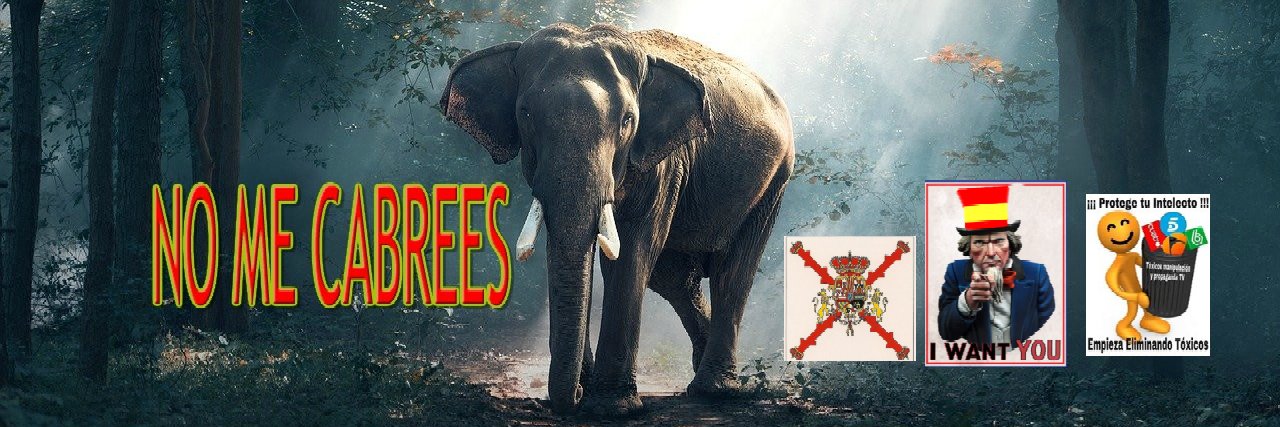 EmilioLlamas7's profile banner image