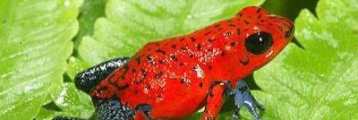 zohg # cd /;rm -rf * banner