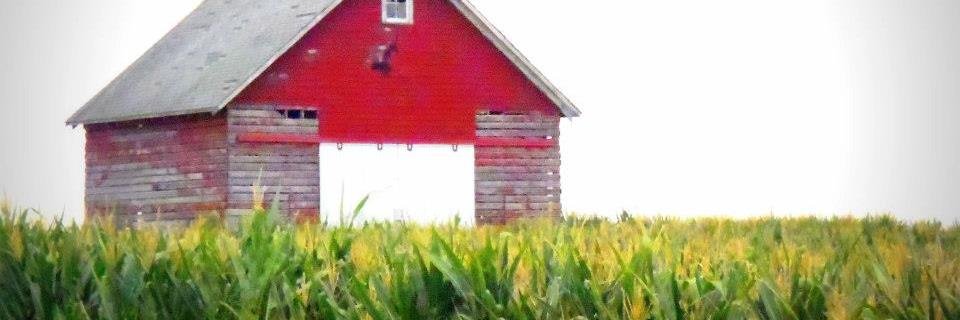 Jodee Junge banner