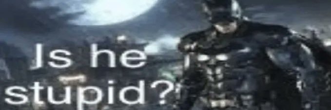 dspectar🦇's banner